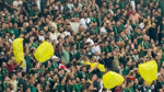 Kocaelispor-Amedspor Maçında Sarı Poşet Kışkırtması: Savcılık Soruşturma Başlattı