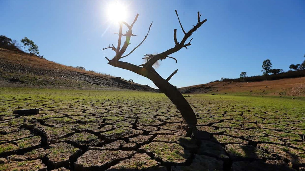 İklim Kanunu Türkiye için tehlike! Perinçek: İklim Kanunu Türkiye'nin sanayi ve tarımına zarar verir - Resim : 2