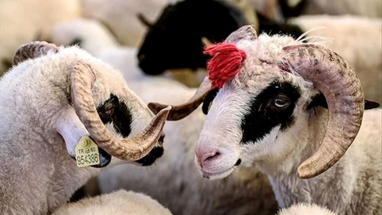 2025 Kurban Bayramı hangi tarihlere denk geliyor? İşte ayrıntılar